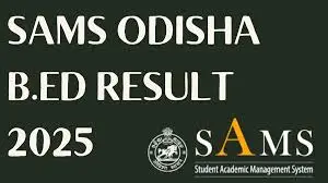 Sams Odisha Bed
